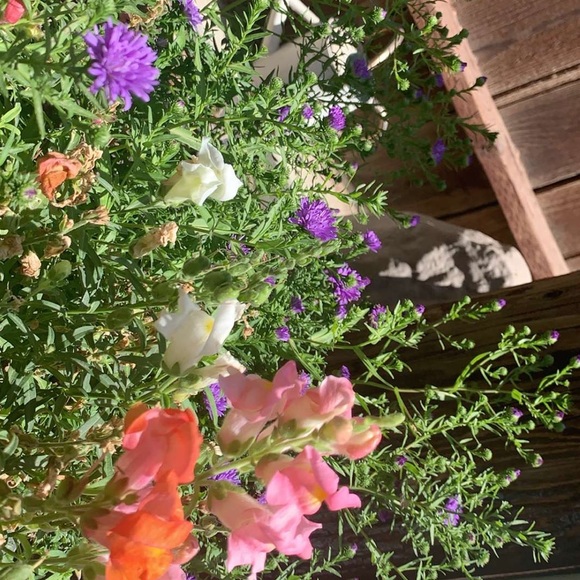 Meet your Posher, Jess - Picture 5 of 6